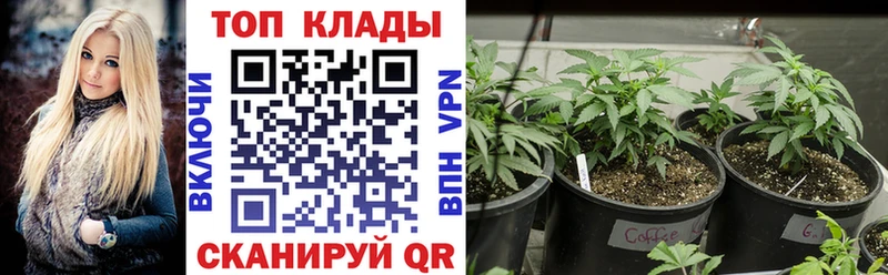 Наркота Починок Alpha PVP  КОКАИН  МЕФ  МАРИХУАНА  Гашиш 
