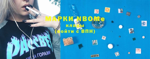 индика Арсеньев