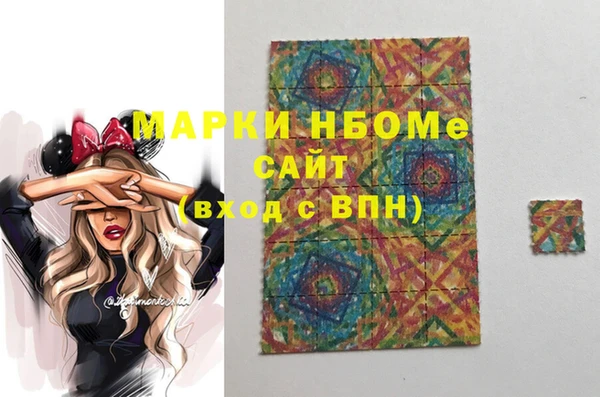 индика Арсеньев