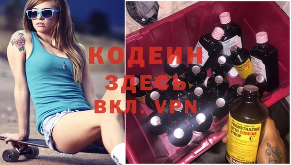 индика Арсеньев