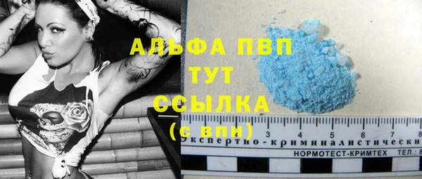 индика Арсеньев