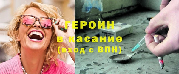 индика Арсеньев