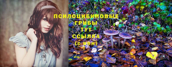 индика Арсеньев